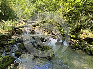 Small mountain river GerovÃÂica, Zamost - Region of Gorski kotar, Croatia / Mala gorska rijeka GerovÃÂica photo